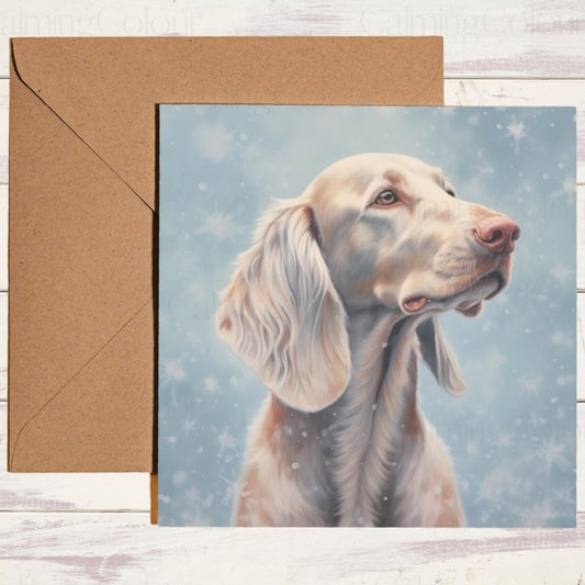 Long - Haired Weimaraner in Snow | Christmas Card | Christmas Card