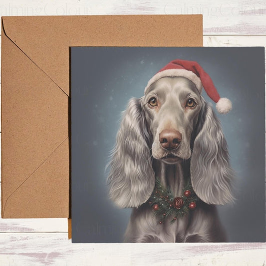 Long - haired Weimaraner in the Winter Snow | Christmas Card | Calming Colour