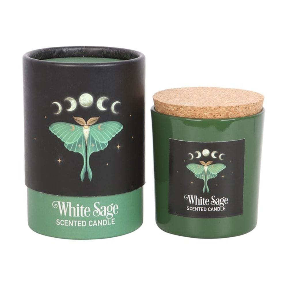 Luna Moth White Sage Candle | Calming Colour