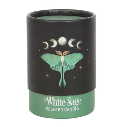 Luna Moth White Sage Candle | Calming Colour