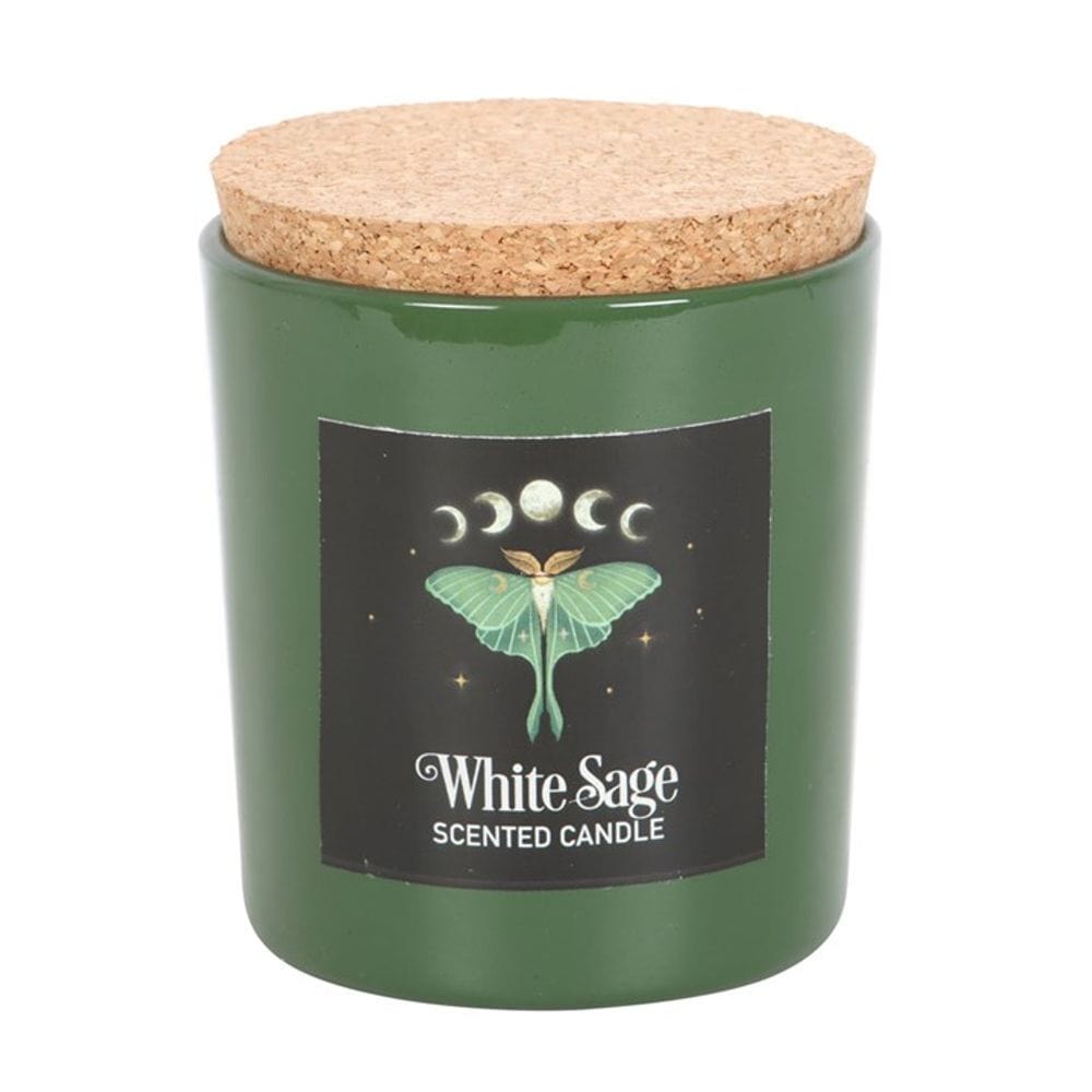 Luna Moth White Sage Candle | Calming Colour