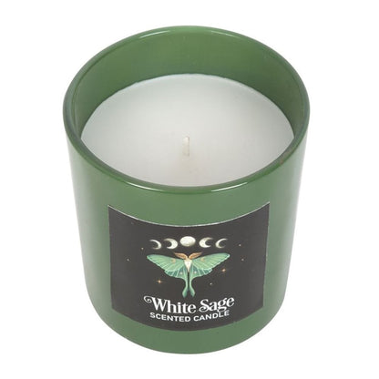 Luna Moth White Sage Candle | Calming Colour