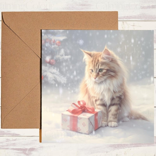 Maine Coon with Present Box | Christmas Card | Christmas Card