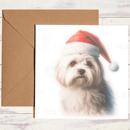 Maltese Dog with Santa Hat | Christmas Card | Christmas Card
