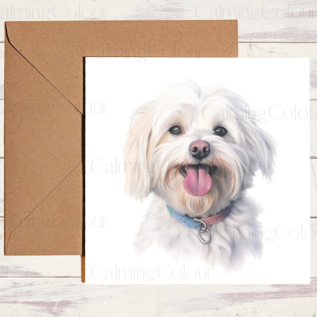 Maltese Greeting Card | Single Card | Calming Colour