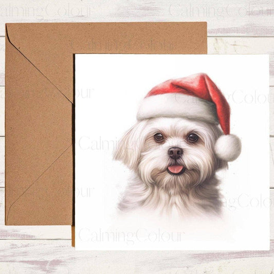 Maltese wearing Red Santa Hat | Christmas Card | Christmas Card