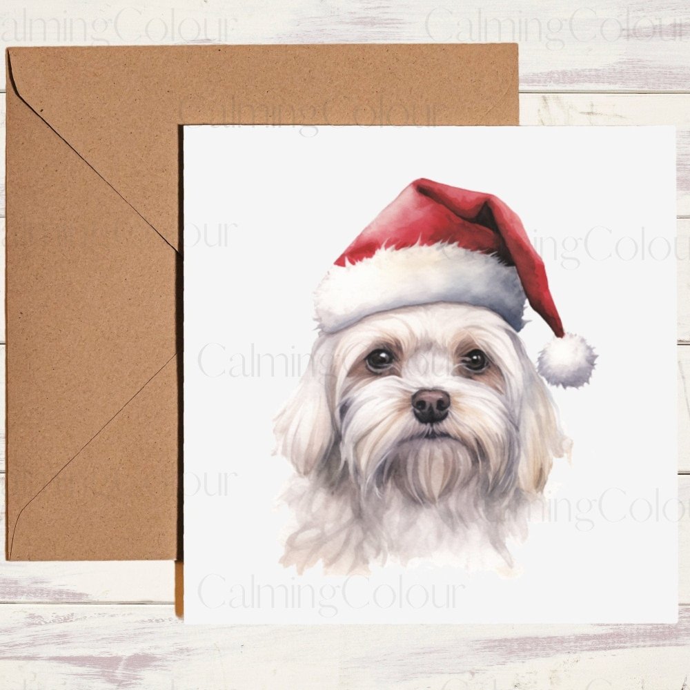 Maltese wearing Red Santa Hat | Christmas Card | Calming Colour