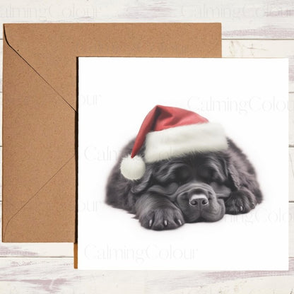 Newfoundland Asleep in Santa Hat | Christmas Card | Christmas Card