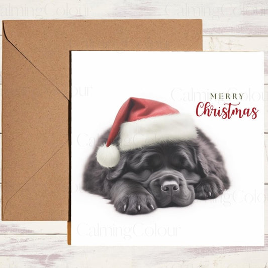 Newfoundland Asleep in Santa Hat | Christmas Card | Christmas Card