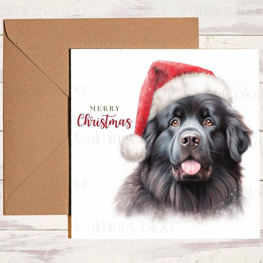 Newfoundland wearing Red Santa Hat | Christmas Card | Christmas Card