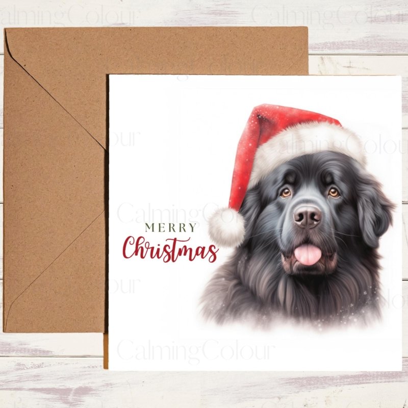 Newfoundland with a Red Santa Hat Christmas Card | Christmas Card
