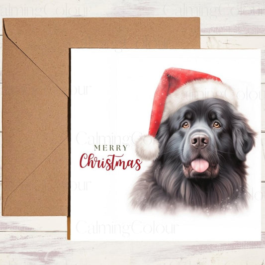 Newfoundland with a Red Santa Hat Christmas Card | Christmas Card