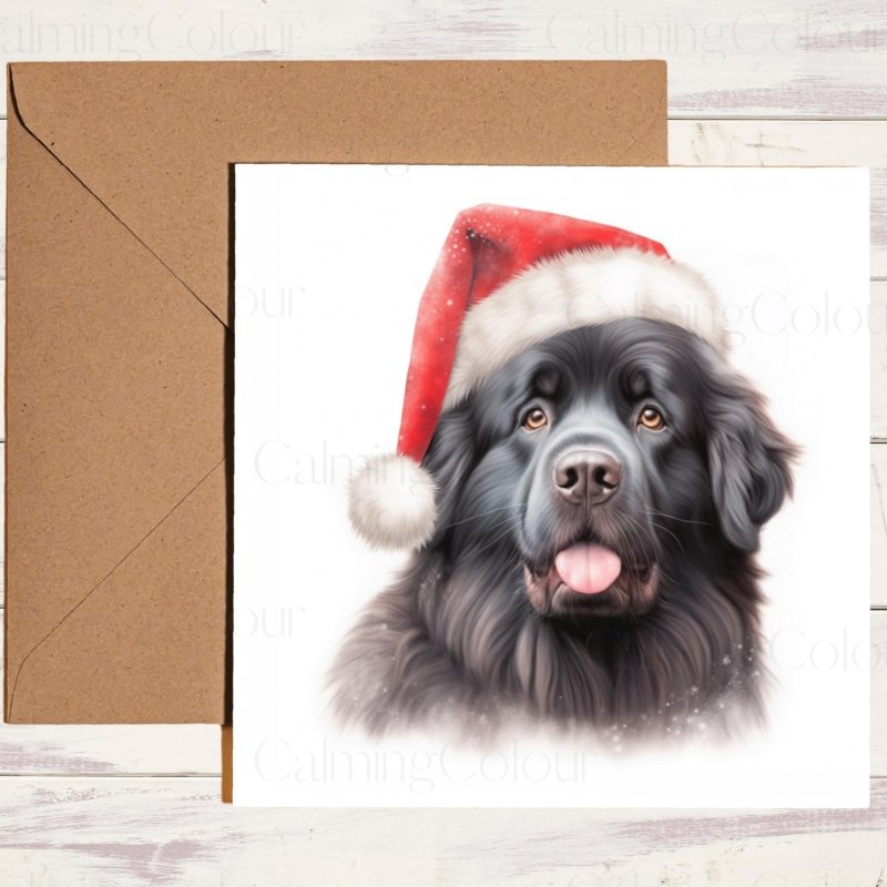 Newfoundland with a Red Santa Hat Christmas Card | Christmas Card