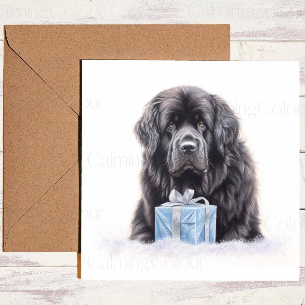 Newfoundland with Christmas Present | Christmas Card | Calming Colour