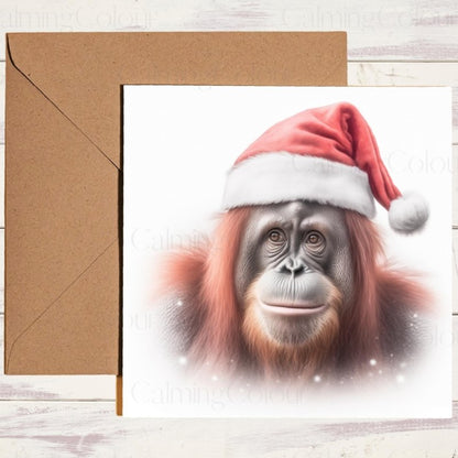 Orangutan Wearing a Santa Hat | Christmas Card | Christmas Card