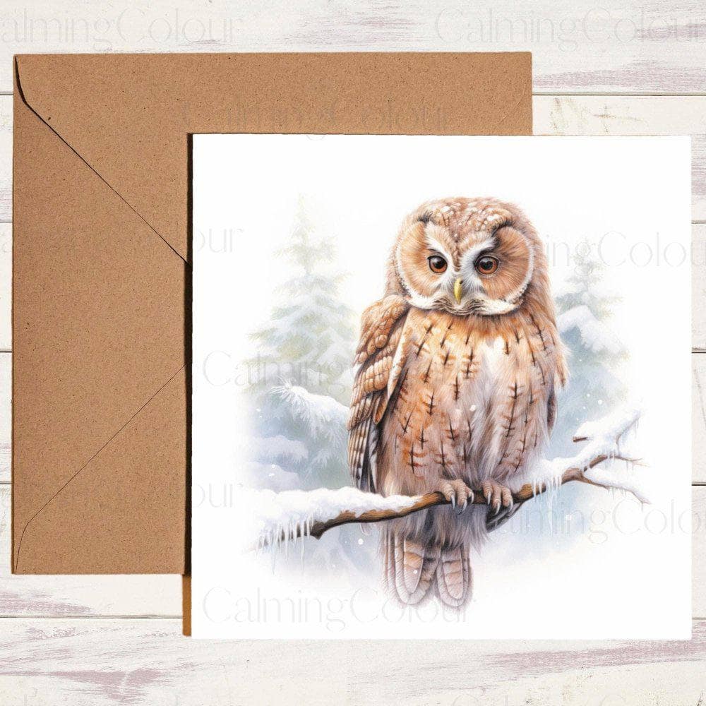 Owl sat in snow covered Tree | Christmas Card | Christmas Card