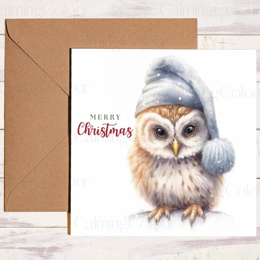 Owl wearing Blue Woolly Hat | Christmas Card | Christmas Card