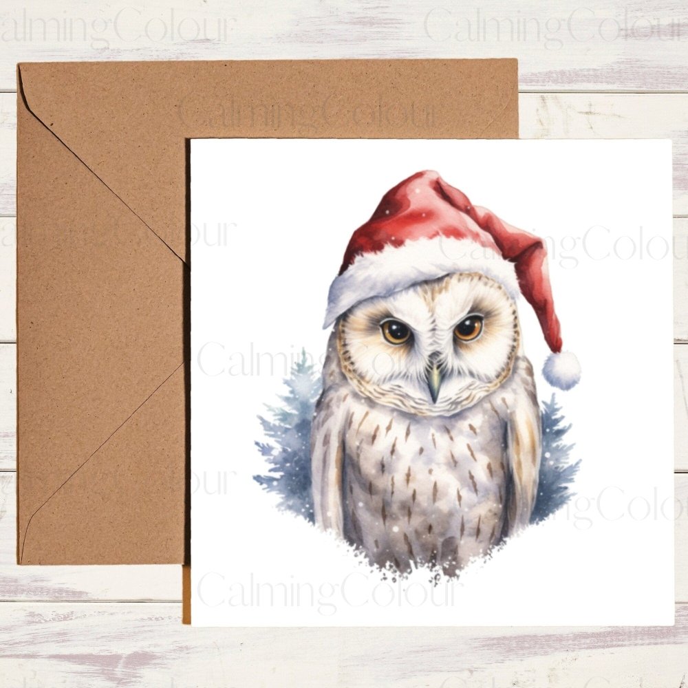 Owl wearing Red Santa Hat | Christmas Card | Christmas Card