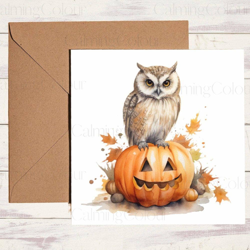 Owl with Halloween Pumpkin | Birthday Card | Halloween | Calming Colour