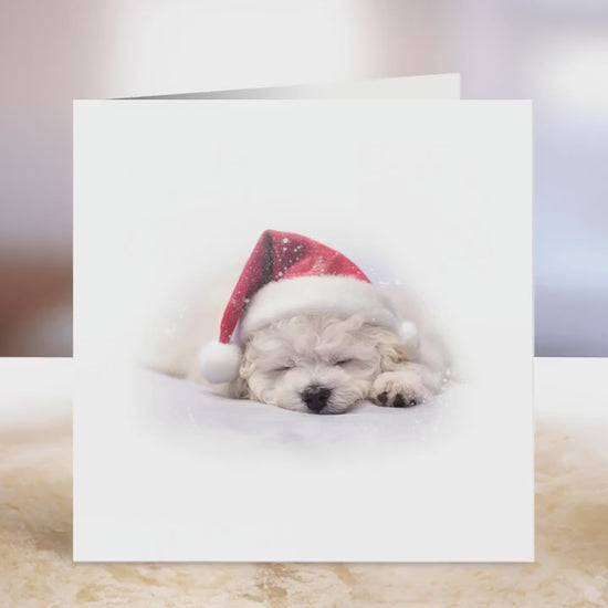 Bichon Frise Christmas Card | Greeting card for dog lover | Single card blank on the inside