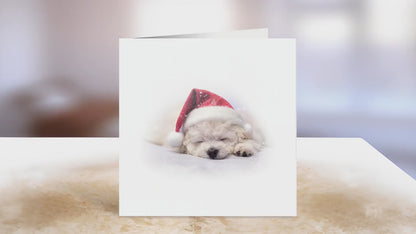 Bichon Frise Christmas Card | Greeting card for dog lover | Single card blank on the inside