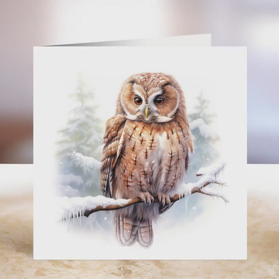 Owl Christmas Card | Greeting card for Owl lover | Single card blank on the inside