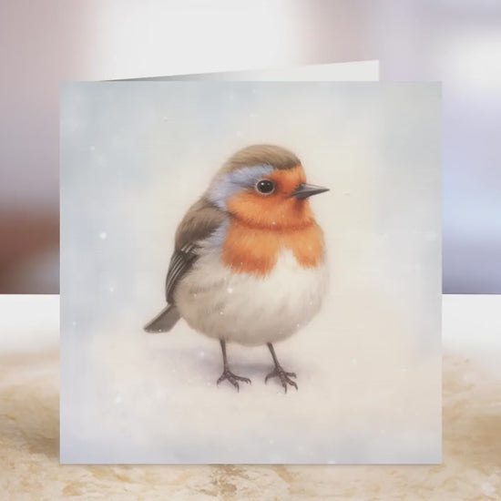 Robin Christmas Card | Greeting card for Robin lover | Single card blank on the inside