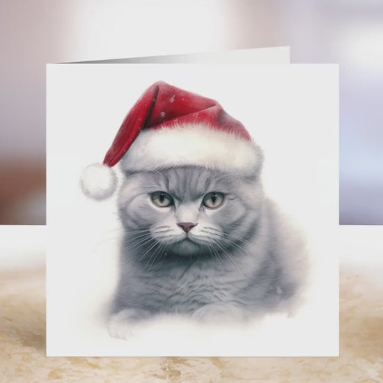 British Shorthair Christmas Card | Greeting card for British Blue lover | Single card blank on the inside