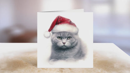 British Shorthair Christmas Card | Greeting card for British Blue lover | Single card blank on the inside