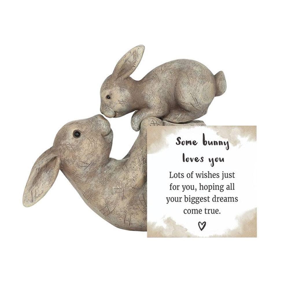 Rabbit Ornament | "Some Bunny Loves You" | Calming Colour