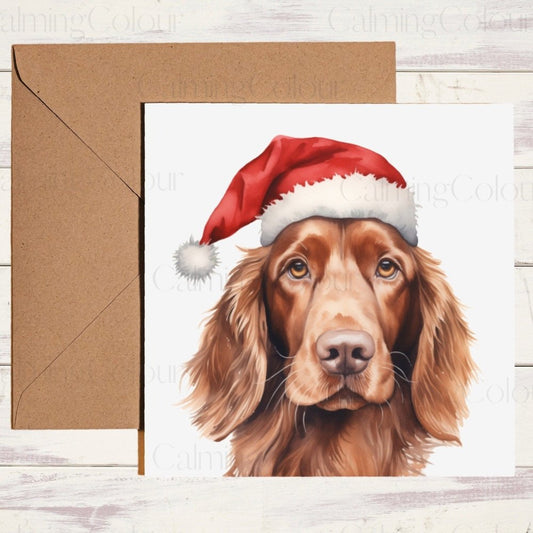 Red Setter wearing Red Santa Hat | Christmas Card | Calming Colour