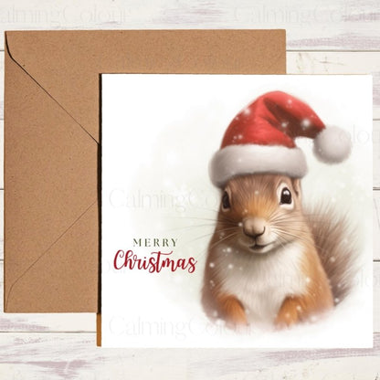 Red Squirrel Wearing a Santa Hat | Christmas Card | Christmas Card