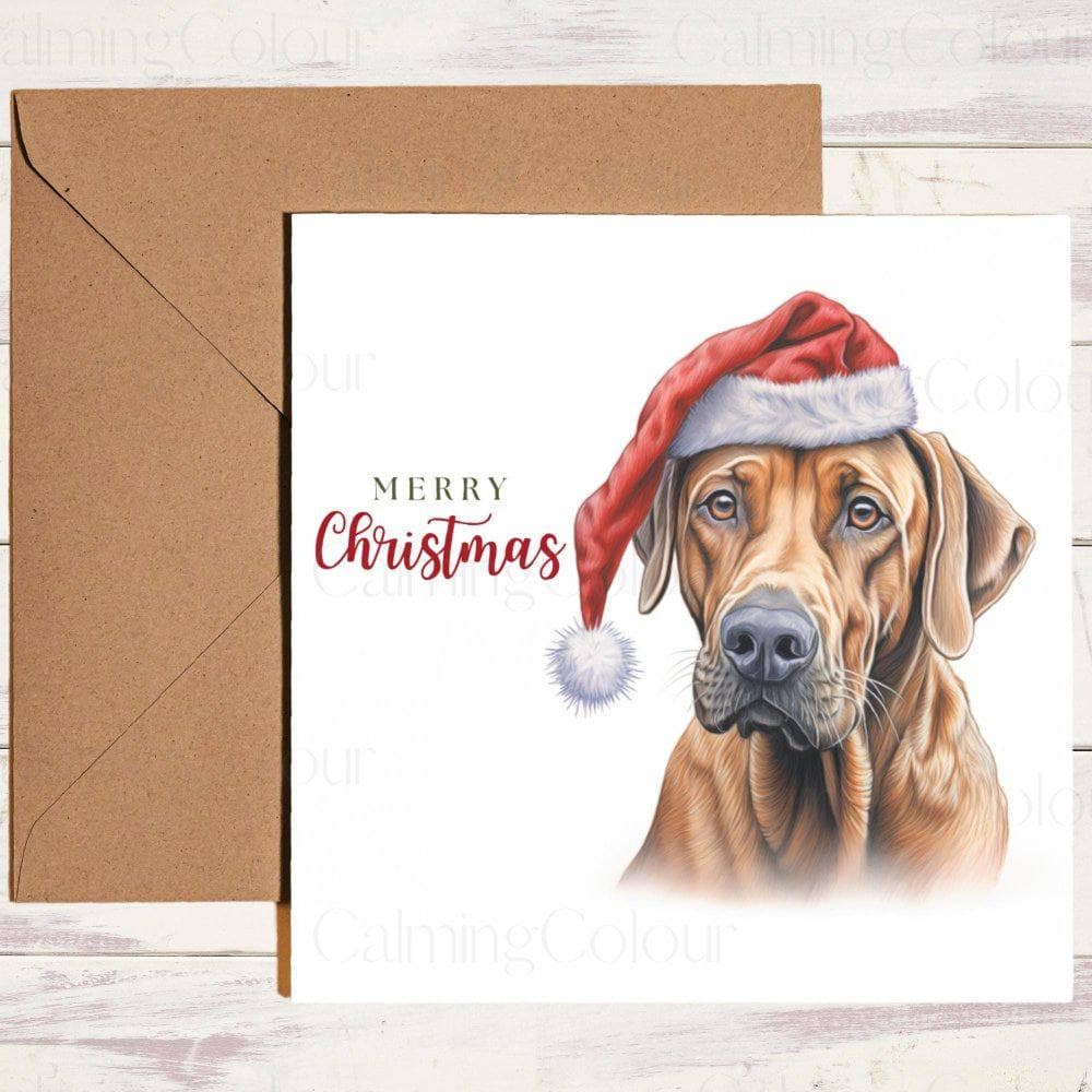 Rhodesian Ridgeback wearing a Red Santa Hat | Christmas Card | Christmas Card