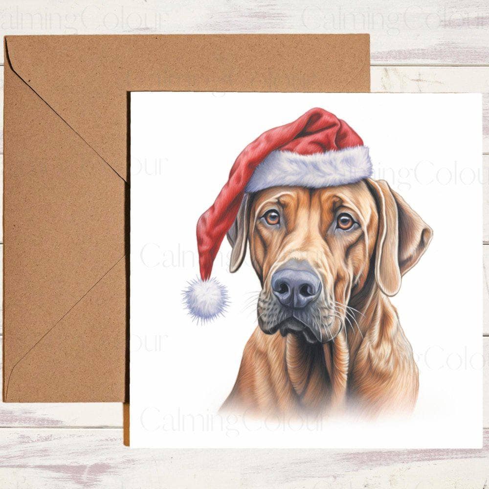 Rhodesian Ridgeback wearing a Red Santa Hat | Christmas Card | Christmas Card