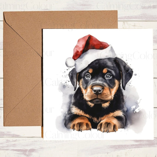 Rottweiler Puppy wearing Red Santa Hat | Christmas Card | Calming Colour