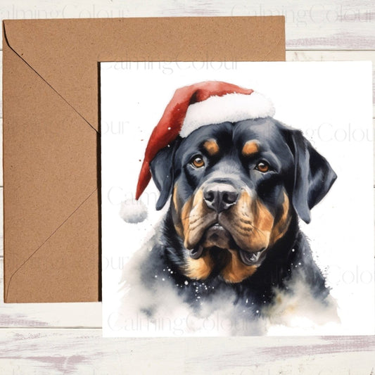 Rottweiler wearing Red Santa Hat | Christmas Card | Calming Colour