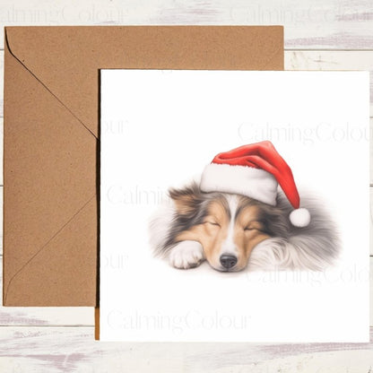Rough Collie Sleeping Peacefully | Christmas Card | Christmas Card