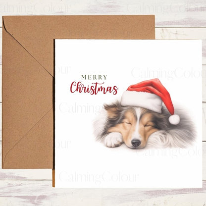 Rough Collie Sleeping Peacefully | Christmas Card | Christmas Card