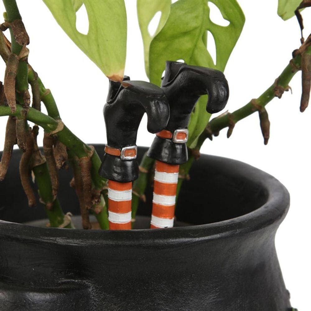 Set of 2 Witch Leg Plant Pot Ornaments | Calming Colour