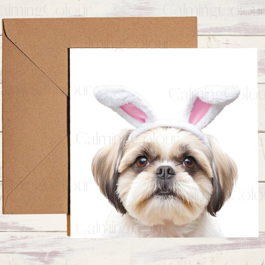 Shih Tzu wearing Easter Bunny Ears | Easter Card | Calming Colour