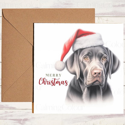 Silver Labrador with Santa Hat | Christmas Card | Christmas Card