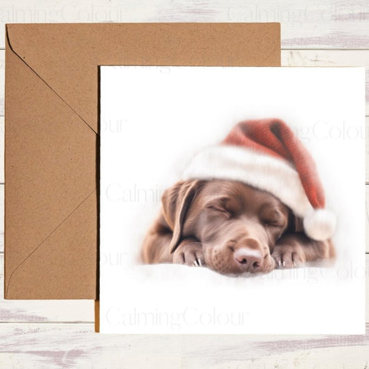 Sleeping Chocolate Labrador Santa Hat Christmas Card | Christmas Card