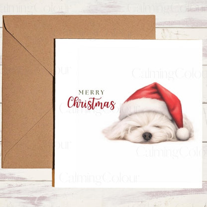 Sleepy Maltese with Santa Hat | Christmas Card | Christmas Card