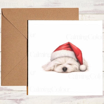 Sleepy Maltese with Santa Hat | Christmas Card | Christmas Card