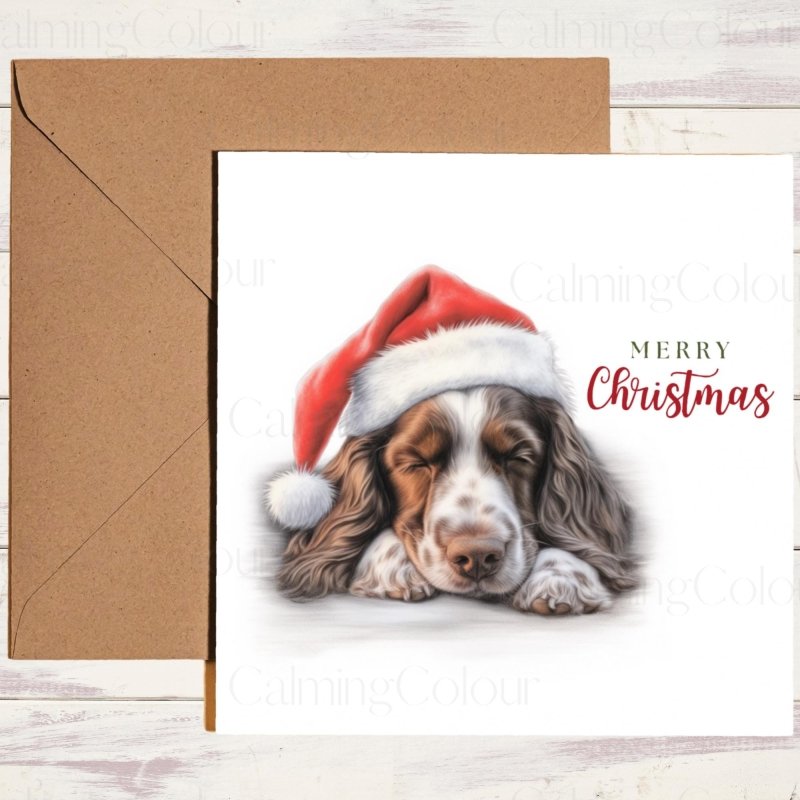 Springer Spaniel Asleep in Santa Hat | Christmas Card | Christmas Card