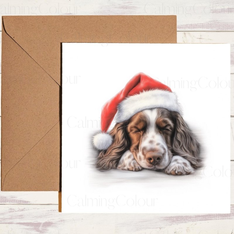 Springer Spaniel Asleep in Santa Hat | Christmas Card | Christmas Card