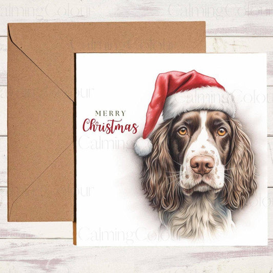 Springer Spaniel with Red Santa Hat | Christmas Card | Christmas Card