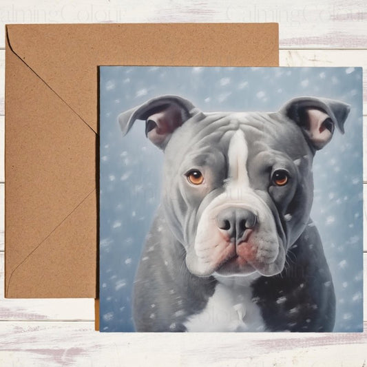 Staffordshire Bull Terrier in Snow | Christmas Card | Christmas Card
