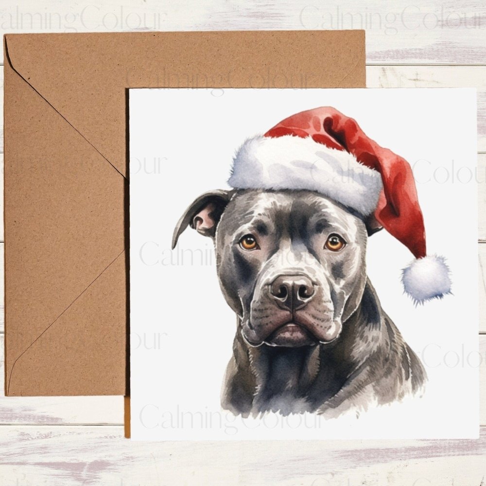 Staffordshire Bull Terrier wearing Red Santa Hat | Christmas Card | Calming Colour