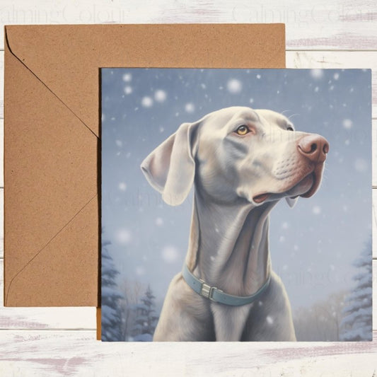 Weimaraner in Snow | Christmas Card | Christmas Card